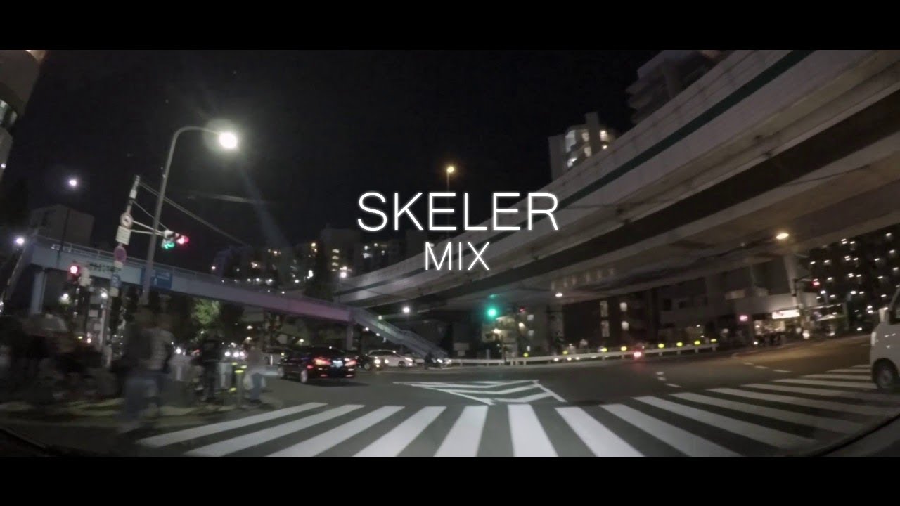 ＳＫＥＬＥＲ. - Best Of 2019 | Wave Mix