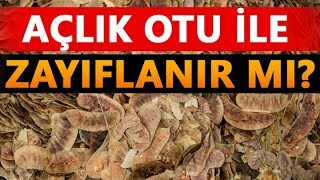 Açlık Otu İle Zayıflanır Mı ? Diyetisyen: Nazmiye CERAN Resimi