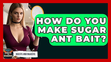 How Do You Make Sugar Ant Bait? - Insects and Invaders