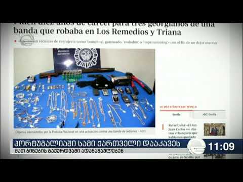 პორტუგალიაში საქართველოს სამი მოქალაქე დააკავეს