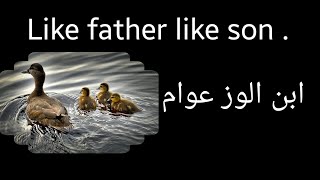 أمثال شعبية باللغة الانجليزية | English proverbs