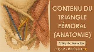 Contenu du triangle fémoral (anatomie)