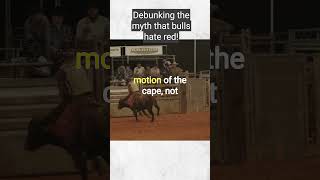 Bulls don't hate the color red 😱🤯 #shorts #commonmisconceptions