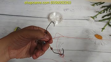 Hướng dẫn buộc lưỡi câu lục siêu chắc