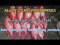 Fishtrap (bobo fishing) Episode 5. Alcoy, Cebu, Philippines