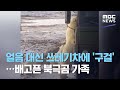 얼음 대신 쓰레기차에 '구걸'…배고픈 북극곰 가족 (2020.10.21/뉴스데스크/MBC)