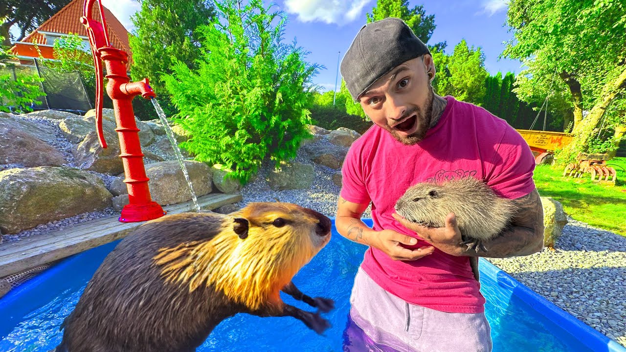 Bygger en pool til min bæver