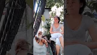 Enjoy Bonding With Dogs