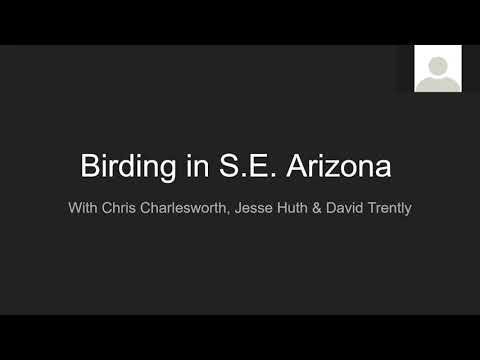 Arizona Birding with Chris Charlesworth, Jesse Huth and David Trently