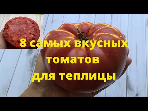 Самые вкусные томаты, обзор восьми хороших сортов томатов