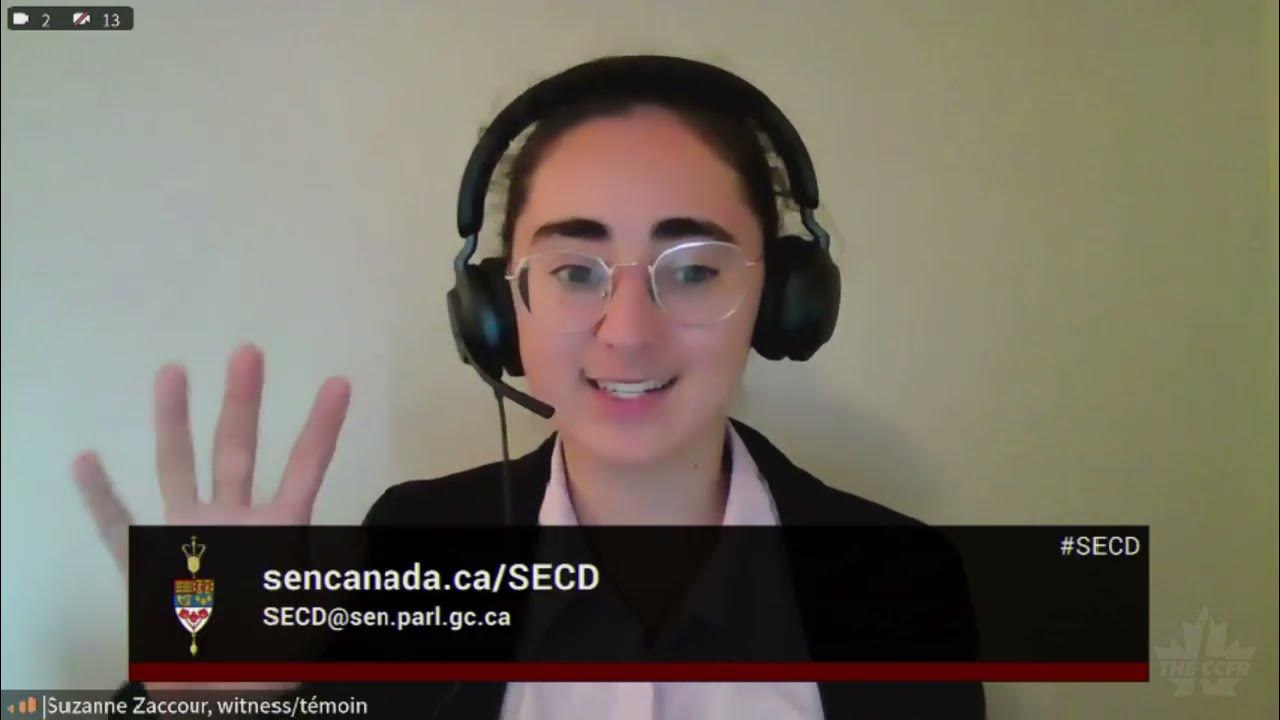 in-the-senate-secd-meeting-39-women-s-groups-youtube
