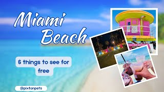 Travel: 6 things to do in Miami Beach, Florida! by Pixton Pets & Adventures 176 views 4 months ago 2 minutes, 1 second