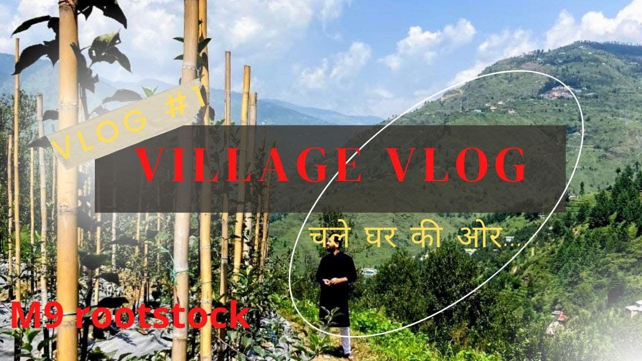 Village Vlog | Dormant Oil Sprays | M9 rootstock  | pahadi lifestyle vlogs