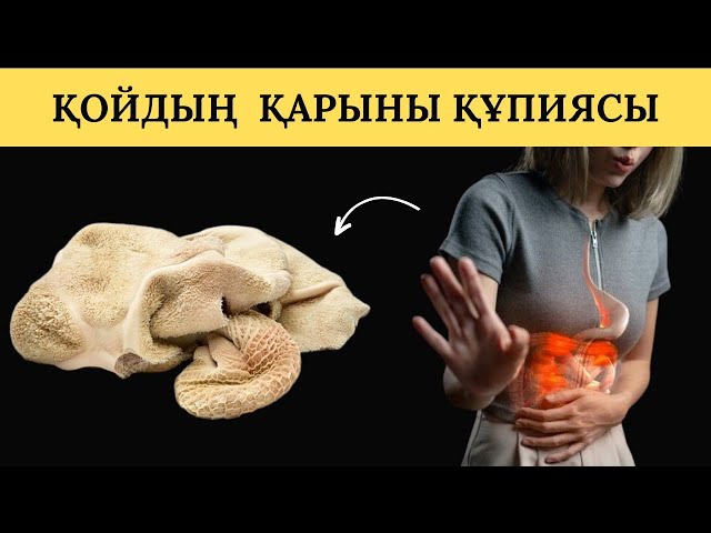Порнографиялық комикстері бар веб-сайт Танго порно көру