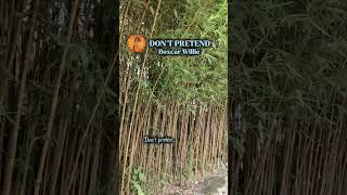 Vídeo de Dont Pretend