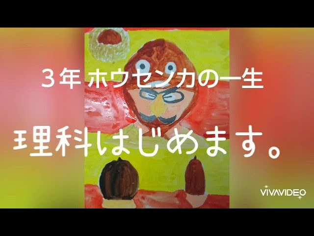 3年理科 ホウセンカの一生 Youtube