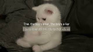 Boy’s a liar pt. 2 \/\/ PinkPantheress, Ice Spice (lyrics + vietsub)