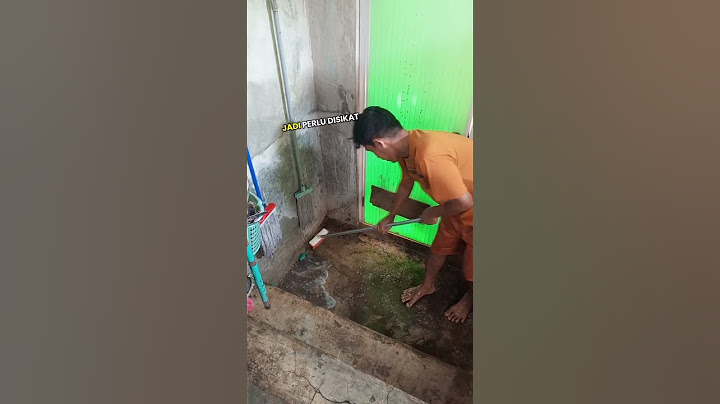Sikat Sikat Bersih Bersih Kamar Mandi Pakai Sikat Gagang Panjang ini Kok Enak Sekali