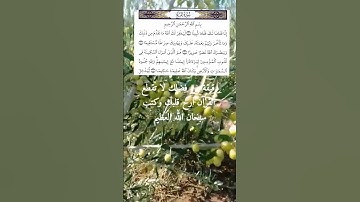 تلاوة مباركة من سورة الفتح بصوت الشيخ داود حمزة صوت جميل