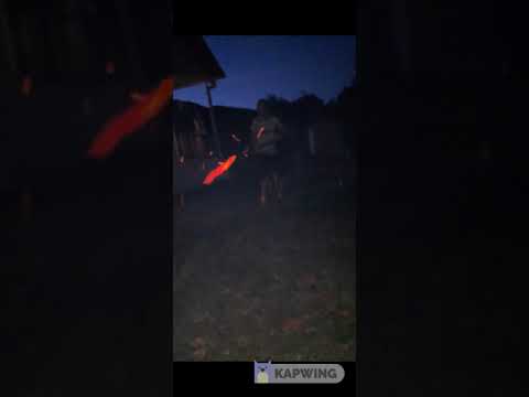 ლაშა - 1-2-3-4 (ft. sadness)