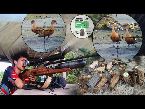 LONG RANGE❗ HUNTING GRASSHEAD POINTS ABUNDANT// HUMMER, DR SLUG// GMI MK3 15 gr