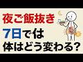科学的解説：夜ご飯を抜いて7日間過ごすと、体はどう変わるのか？ 夜の食欲と脂肪の意外な関係