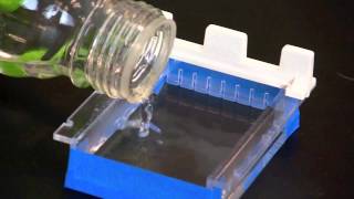 Casting an Agarose Gel