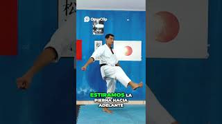 Mae Geri Learns the Perfect Front Kick Step-by-Step Guide