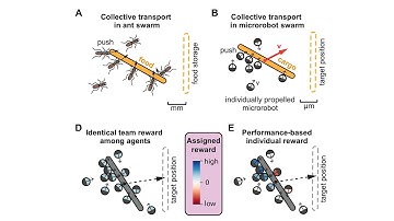Microrobot Swarm: Collective Transport with Multiagent Reinforcement Learning