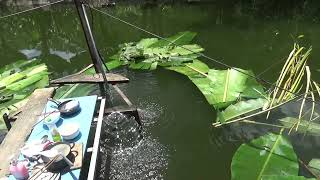 Idyllic Waters: Fish Ponds in the Heart of Hoa Binh