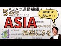 【実地問題】5分ちょいでASIAキーマッスルが完璧！｜理学療法士作業療法士国試塾鰐部ゼミナール