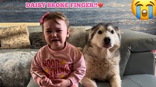DAISY BROKEN HER FINGER!💔. by milperthusky 51,126 views 3 weeks ago 3 minutes, 3 seconds