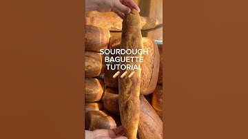 If you can make sourdough, you can make baguettes! 🥖 baguette shaping tutorial #sourdough
