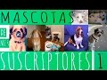 MASCOTAS DE MIS SUSCRIPTORES #1