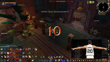 Reason Guild DBM Voicepack