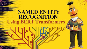 Named Entity Recognition Using BERT Transformers-@shahzaib_hamid