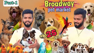 Sunday Broadway Pet Market | செல்லப்பிராணிகள் சந்தை அனைத்து செல்லப்பிராணிகளும் மிக குறைந்த விலை