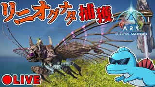ターキーなのでイベカラリニオを探したい【ASAアイランド Live】