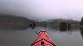 Kayaking Betweene the Stumps of Baker Lake