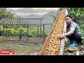 CEO Leaves City Life Bamboo House Build & GIANT Sago Worm Harvest | Off Grid Living