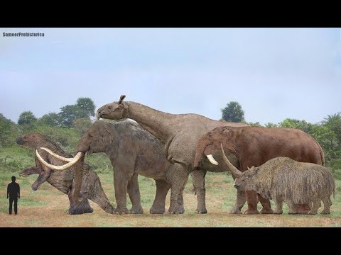 Prehistoric Mammals Size Comparison