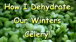 How I Dehydrate Celery