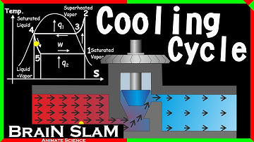 How Refrigerators Work? (Cooling Systems Explained)