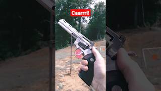 🧟‍♂️Rick's Revolver from The Walking Dead!🧟‍♀️ Colt Python!