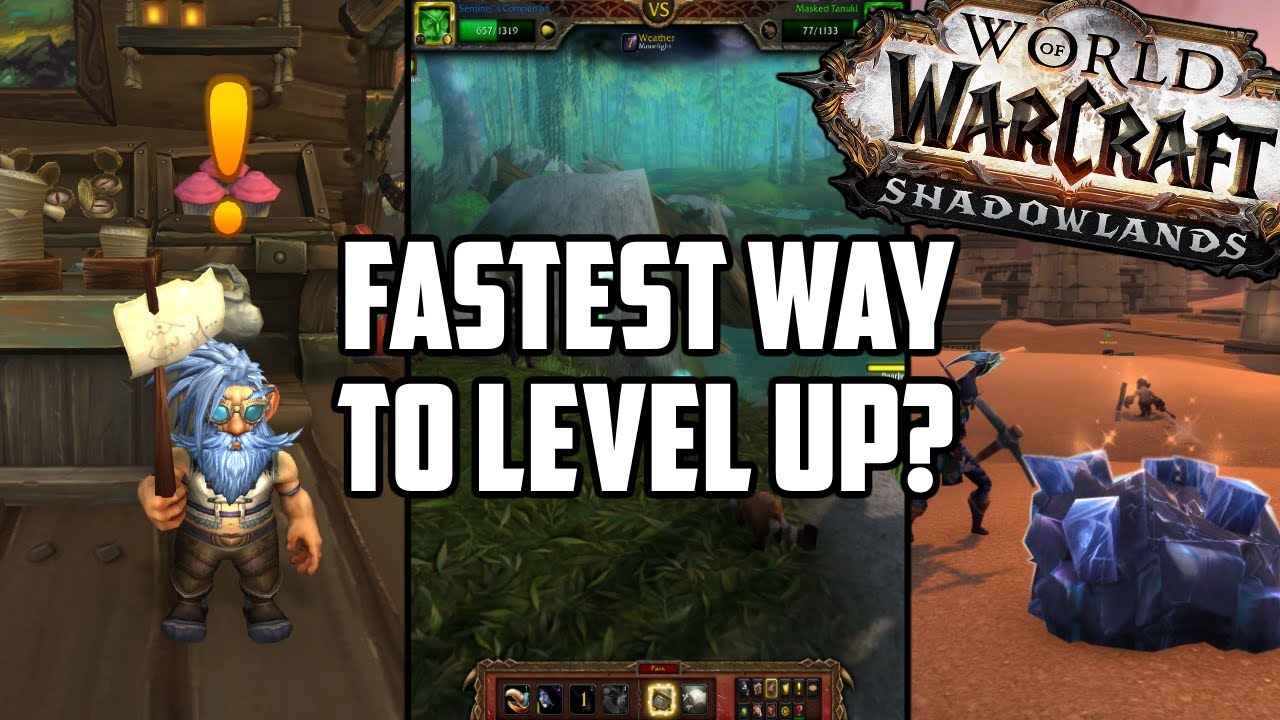 Wow 50 уровень. Leveling methods