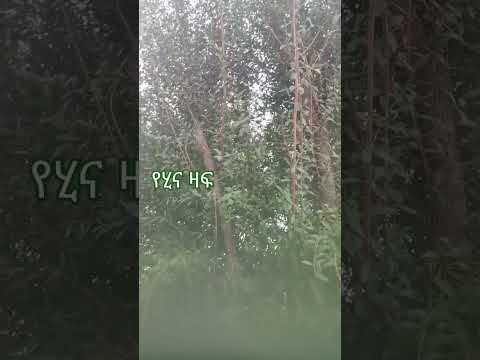 نقطف حينه