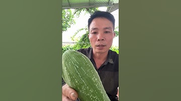 Mẹo chữa mụn cơm mụn cóc mắt cá chai sần