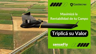 Maximizá La Rentabilidad De Tu Campo Triplicando Su Valor