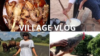 A DAY IN MY LIFE AT THE VILLAGE |COOKING MARATHON CHICKEN &amp; MORE