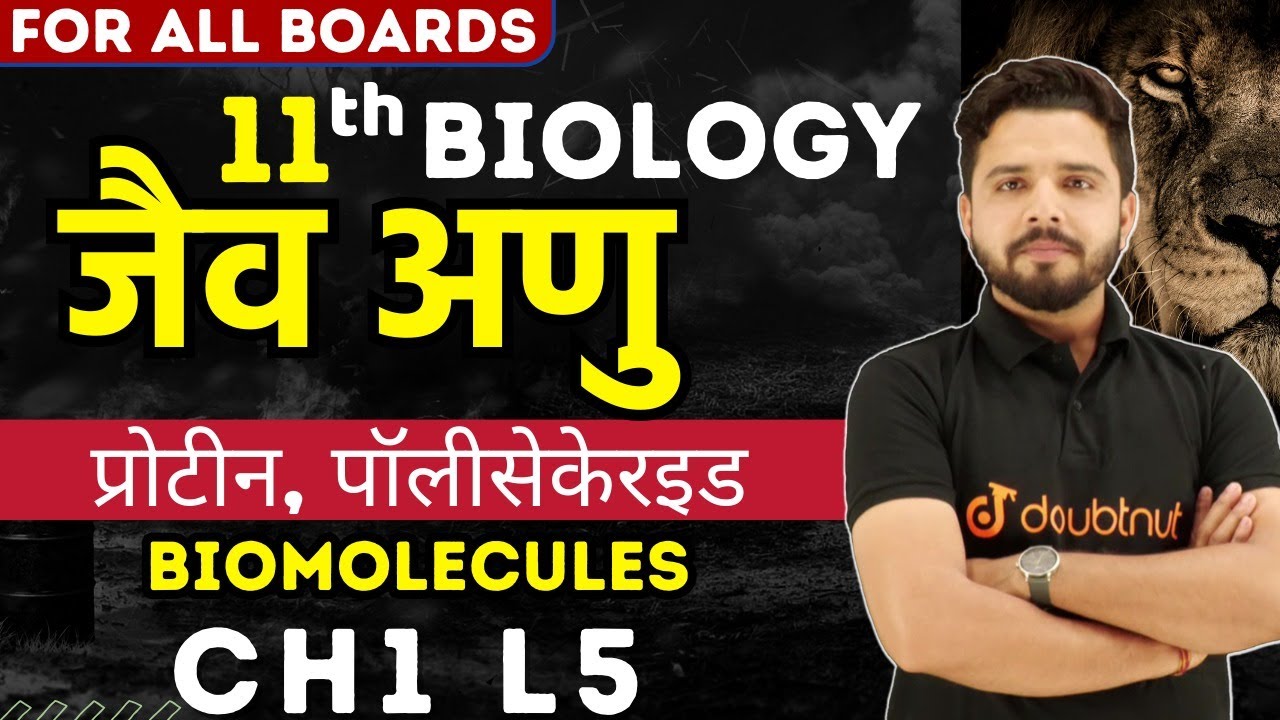 जैव अणु Biology in Hindi Class 11 Polysaccharides Structure and